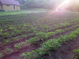 St. Phocas Community Farm